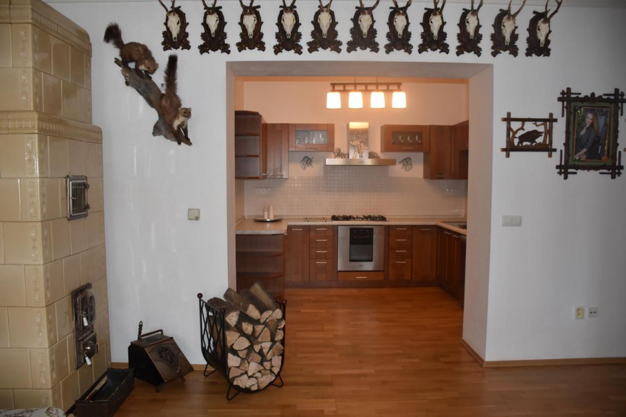 Lovecky Apartman Na Namesti Ve Frenstate Pod Radhostem Frenštát pod Radhoštěm Zewnętrze zdjęcie
